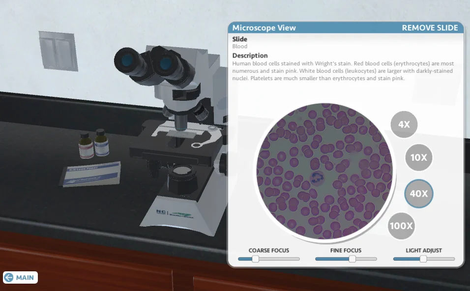 microscopio online muestra sangre virtual